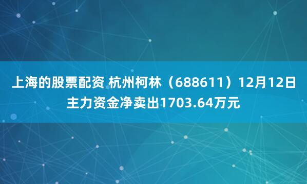 上海的股票配资 杭州柯林(688611)12月12日主力资金净卖出1703.64万元